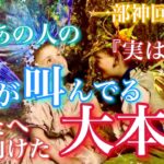 【🦋一部神回×辛口💞 】『実はね…』今、あの人の心が叫んでる あなたへ向けた大本音🦋🦄