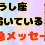 【牡牛座】物凄いリンクするメッセージ＆金運アップへのヒント❗️❣️ ＃タロット、＃オラクルカード、＃当たる、＃占い