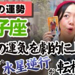 双子座さんの勇気が試される！そこに飛び込んで！【双子座3月の運勢】