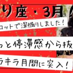 【さそり座】3月🎎やっと楽になります！心的な重荷から解放され、キラキラの楽しい3月に！