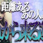 【タロット占い】【恋愛】【復縁】【相手の気持ち】🌶️一切忖度致しません🌶️距離のあるあの人との、これから来る運命🔮😢💣💀💣※ＢＧＭ付け忘れましたｗ※【恋愛占い】