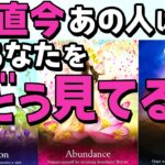 【忖度なしリアル本音】正直今あの人はあなたをどう見てる？恋愛対象？恋愛タロット・当たる占い