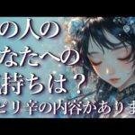 ⚠️ピリ辛あり⚠️あの人のあなたへの気持ちは？占い💖恋愛・片思い・復縁・複雑恋愛・好きな人・疎遠・タロット・オラクルカード