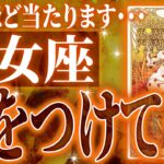 『2月6日までに見て！』まじか…乙女座の2月を占ったら、全体的にやばすぎました【鳥肌級タロットリーディング】