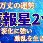 【算命学】天報星が2つある宿命！動乱で飛躍する波乱万丈の運勢！