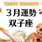 双子座は奇跡を起こすんだ。もう夜明けだ。何も心配しなくていいんだ。2026年3月全体運勢💘仕事恋愛不安解消評価や印象💘個人鑑定級タロットヒーリング Tarot & Oracle