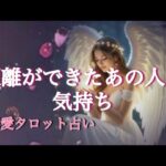 距離ができたあの人の気持ち🩷恋愛タロット占い