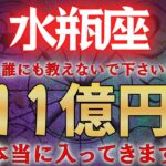 【水瓶座♒】もし逃したら本当に２度と来ない。一瞬でも見れたら財布が溢れます！ #占星術 #12星座 #金運 #2026年運勢