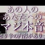 ⚠️ピリ辛あり⚠️あの人のあなたへのマジ本音⚡占い💖恋愛・片思い・復縁・複雑恋愛・好きな人・疎遠・タロット・オラクルカード