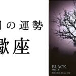 【蠍座🌼3月の運勢】これまでしんどかった人へ。闇が光へ昇華する✨2026年タロット占い