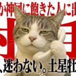 【射手座】レベル崩壊。あなた一人だけ「別次元」の成功ルートに入りましたが準備はいい？【Yokoの部屋・秘蔵タロット公開】