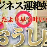 牡牛座さんはこれから楽勝なので宇宙にお任せしちゃましょう！😲✨【2月中旬運勢】♾️タロット占い♾️