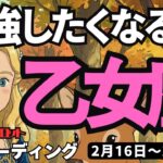 【乙女座】♍️2026年2月16日の週♍️勉強したくなる時。レベルアップする私。大変だった自分はもう終了。おとめ座。タロットリーディング
