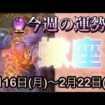 蠍座♏️さん⭐️2月16日(月)〜2月22日(日)🔮小さな願いが沢山舞い込む‼️努力が報われて来る🌈🌈