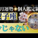 【双子座♊️3月運勢】うわっすごい！個人鑑定級のグランタブローリーディング✨今じゃないからもう少しだけ待って✨4月の大躍進に向けて心身の充実を（仕事運　金運）タロット＆オラクル＆ルノルマンカード