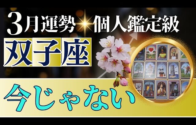 【双子座♊️3月運勢】うわっすごい！個人鑑定級のグランタブローリーディング✨今じゃないからもう少しだけ待って✨4月の大躍進に向けて心身の充実を（仕事運　金運）タロット＆オラクル＆ルノルマンカード