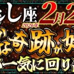 【しし座】2月27日静かな奇跡が始まる…運が一気に回りだします…【12星座占い】