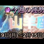 山羊座♑️さん⭐️2月9日(月)〜2月15日(日)🔮新しく始まって行く時‼️何かを決定する様な事も🌈🌈