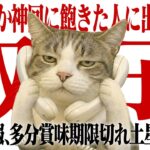 【3年保存版】来たる！2026年土星牡羊座入りふたご座｜海王星と土星の強い波を味方につける、眠れる深堀り解説