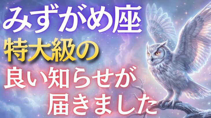 【水瓶座♒】9秒以内に確認して！予想外の大吉報です💫運命の扉が今開きます【12星座占い】
