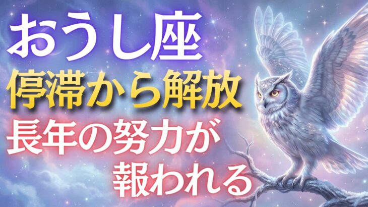 【牡牛座♉】この奇跡の月を見逃さないで下さい💫牡牛座だけに降る最大級の祝福です【12星座占い】