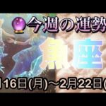 魚座♓️さん⭐️2月16日(月)〜2月22日(日)🔮迷いが晴れる時‼️豊かさが巡り出す流れも来そう🌈🌈