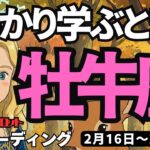 【牡牛座】♉️2026年2月16日の週♉️しっかり学ぶ時❣️ただの勢いではなくて😊立ち止まってじっくりと😎タロットリーディング🍀