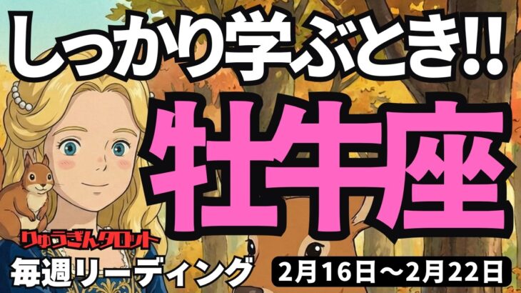 【牡牛座】♉️2026年2月16日の週♉️しっかり学ぶ時❣️ただの勢いではなくて😊立ち止まってじっくりと😎タロットリーディング🍀