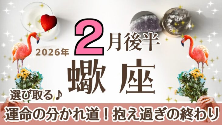 さそり座さんへ♏️【2月後半】運命の分かれ道！問題や未来を明るくするヒント☆抱え過ぎていた事が終わり無理がなくなる♦︎受け取る/選びとる♦︎理性の天使→一歩引いてみる☆アファメーションで運気UP