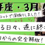 【天秤座】3月🎎別れと出会い。要らないご縁が完全終了！安心安定、未来への希望を掴む！