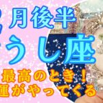 【おうし座】最高のとき！幸運がやってくる✨！！２月後半の運勢