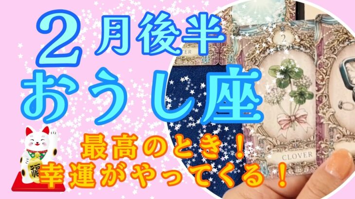 【おうし座】最高のとき！幸運がやってくる✨！！２月後半の運勢