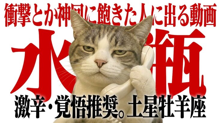 【水瓶座※辛口御免※】土星の最終宣告。今のままでは「通用しない」現実。覚悟を決めた人だけが生き残る3年間【Yokoの部屋・秘蔵タロット公開】