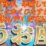 魚座さん備えて！2月後半は、とにかく何でも叶っちゃう！😲✨♾️タロット占い♾️