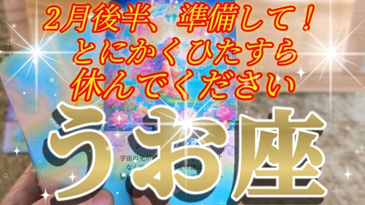 魚座さん備えて！2月後半は、とにかく何でも叶っちゃう！😲✨♾️タロット占い♾️