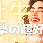【牡牛座♉️2月後半】※正直、ヤバいです。重かった空気が一変して、衝撃の「超・好転」が始まります🌈タロット占い🔮個人鑑定級