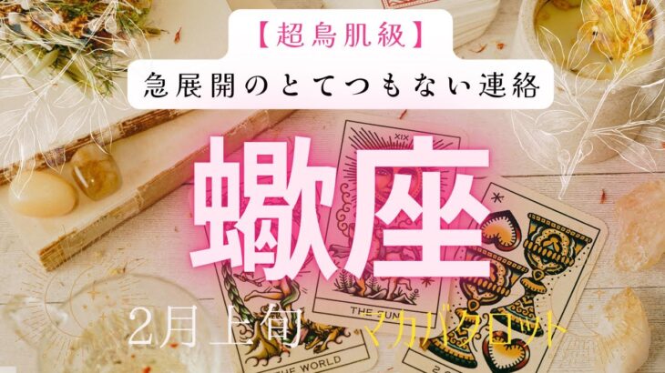 【超鳥肌級】急展開のとてつもない連絡❗️2026年2月上旬　蠍座　神秘の十字架タロット占い　#タロットカード#タロット#運勢#2月#とてつもない連絡#恋愛#占い#タロット占い#2026年#蠍座