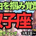 【双子座】♊️2026年3月2日の週♊️ネガティブ強制終了！本当の自分を解放して自由を掴む時