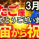 【双子座♊大復活】ふたご座のあなたなら、どんな道でもやっていけます【12星座占い】