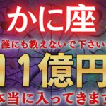 【蟹座♋】もし逃したら２度と訪れない。一瞬でも見れたら財布が溢れます！ #占星術 #12星座 #金運 #2026年運勢