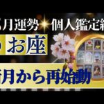 【魚座♓️3月運勢】うわっすごい！個人鑑定級のグランタブローリーディング✨いよいよ始まる✨お誕生日シーズン　うお座新月の超開運パワーが降り注ぐ（仕事運　金運）タロット＆オラクル＆ルノルマンカード