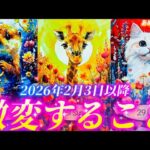 【本当に変わります✨]本物の自分に出会う❗️目醒めの時🌕天職、恋愛、成功への💌　あなたが受け取るのはどれ？　個人鑑定級　タロット