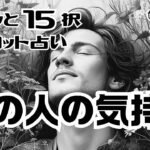 【タロット占い】【サクッと１５択】友人、知人、好きな人の、ここ最近のあの人の気持ち