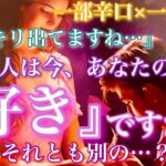 【🦋一部辛口×一部甘口💞 】『ハッキリ出てますね…』あの人は今あなたのことが好き？それとも別の…？🦋🦄