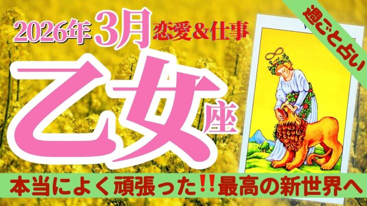 【乙女座3月】恋愛＆仕事※本当によく耐え抜きました。超特大のプレッシャーを越え、運命が導く「最高の新世界」へ🥰🌈✨タロット&オラクル《週ごと》