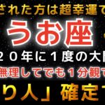 【魚座♓️金運】※この動画が表示された奇跡…おめでとうございます。2026年、人生最大の『億単位の大金』を手にします。【12星座占い】