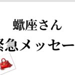 【最高の2月を迎えました✨蠍座さんへのメッセージ💌】全体運⭐️仕事運⭐️恋愛運🩷において最もラッキーなお誕生日の方をお伝えします🩷ガッツリ読み解きました🃏