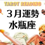 水瓶座って結局うまくいくんだ。最後には幸せが約束されちゃってるんだ。2026年3月全体運勢💘仕事恋愛不安解消評価や印象💘個人鑑定級タロットヒーリング Tarot & Oracle
