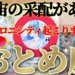 乙女座さんは大変身！なりたい自分になれちゃいます！😲✨【2月中旬運勢】♾️タロット占い♾️