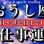 おうし座♉️2月22日から3月3日までの仕事運タロット1日一枚引き！Taurus tarot reading